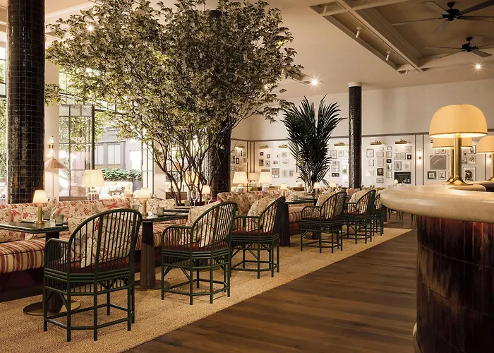Brunfels , In The Unbound Collection By Hyatt