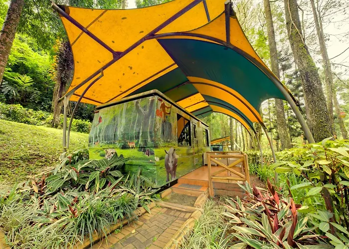 Safari Resort