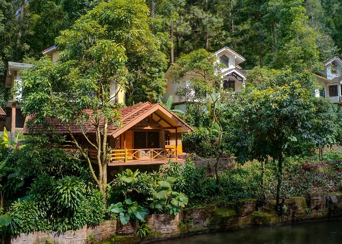 Safari Resort