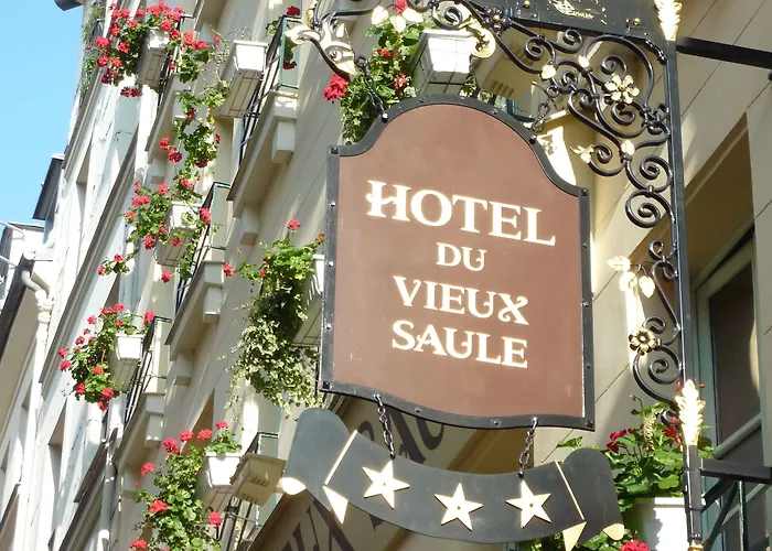 Hôtel Du Vieux Saule