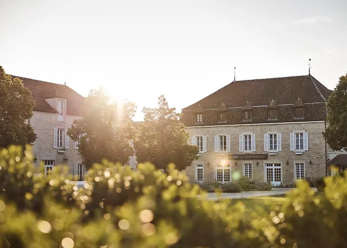 Como Le Montrachet