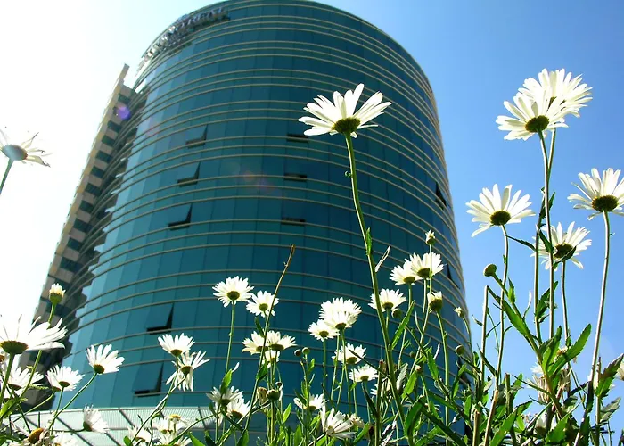 Suites Camino Real