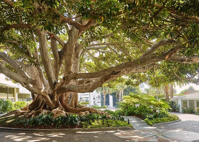Fairmont Miramar Hotel & Bungalows Santa Monica