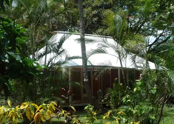 The Fiji Orchid