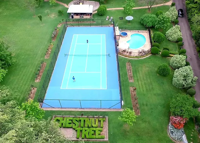 Chestnut Tree Holiday Units Bright