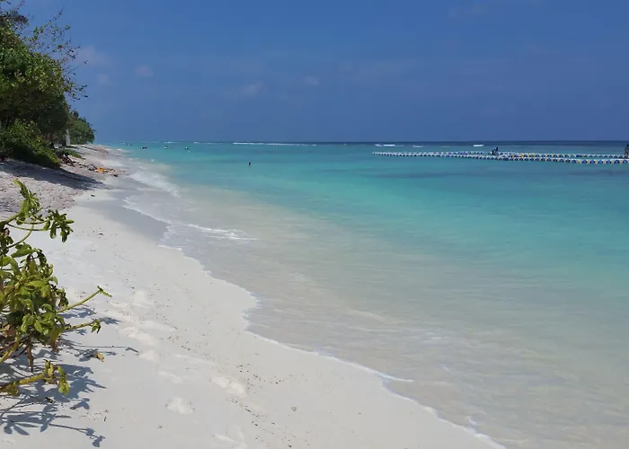 Vista Beach Retreat