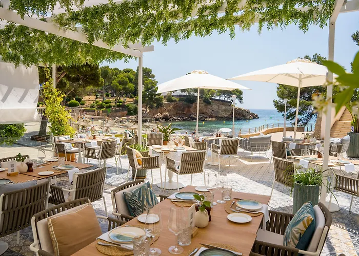 Hotel The Donna Portals (Adults Only) Portals Nous 
