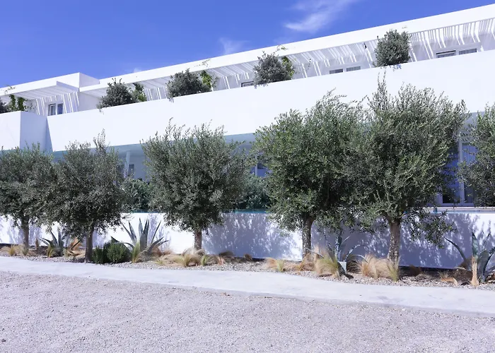 Mykonos Dove Beachfront Hotel Platis Yialos