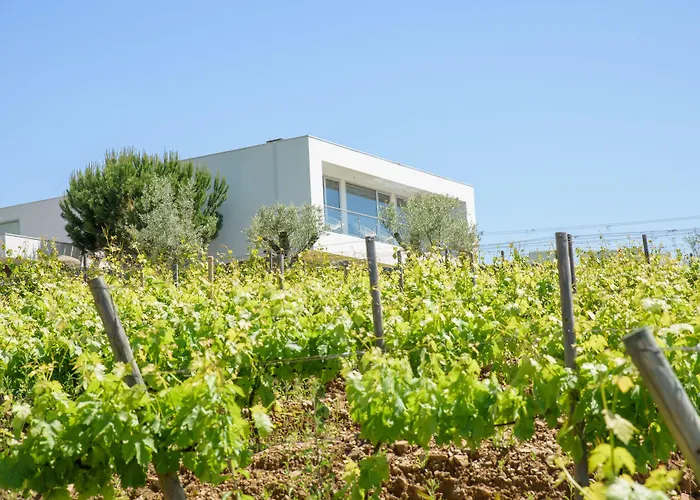 Quinta Do Bosque