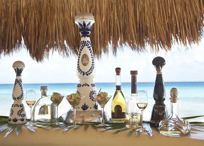Viceroy Riviera Maya, A Luxury Villa Resort - Adults Only