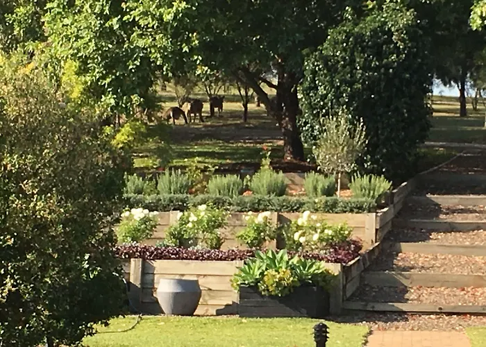 Grapevines Boutique Accommodation