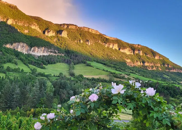 Le Mas ROLLAND -SPA sauna&jacuzzi - Label Qualité Tourisme Occitanie - Millau - Gorges du Tarn