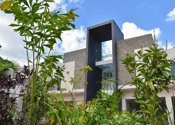 Waye Valladolid Centro - Sustainable, Authentic Experiences&Pet Friendly Boutique Hotel