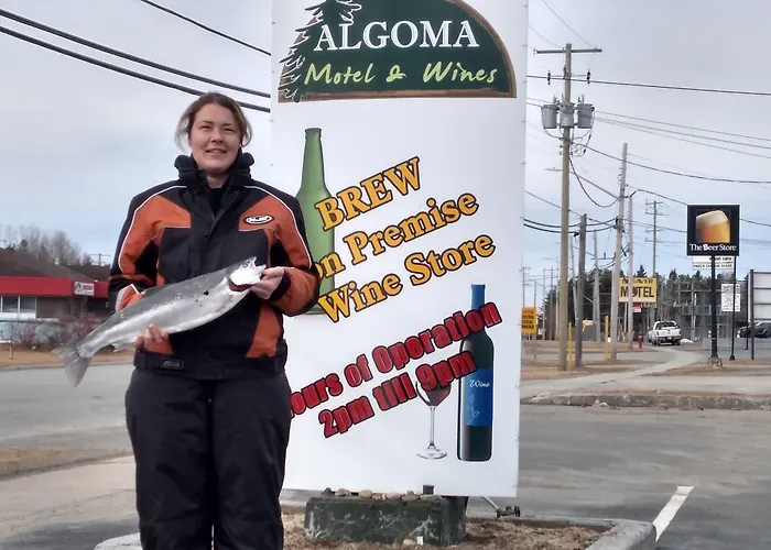 Algoma Motel