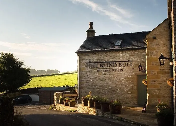 The Blind Bull