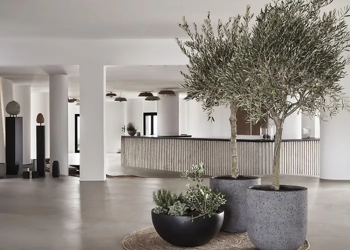 Orama Hotel & Spa Fira 