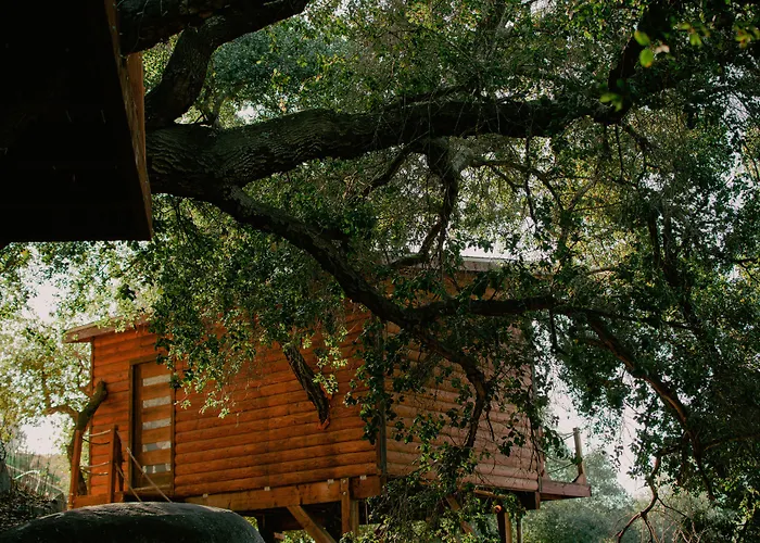Boskenvid Hotel - Romantic Treehouses & Skypool