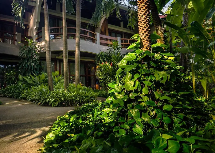Capitán Suizo Beachfront Boutique Hotel