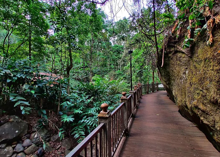 Mystic Mayapott, Thekkady