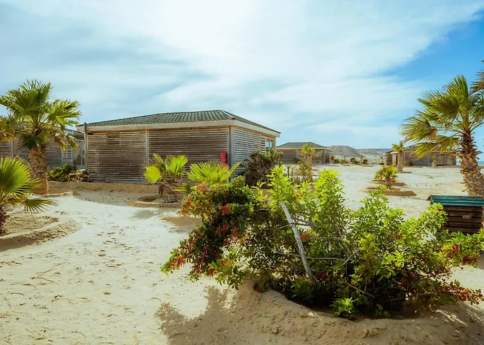Oasis212 Dakhla
