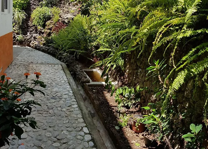 hotel quinta real las palmas malinalco