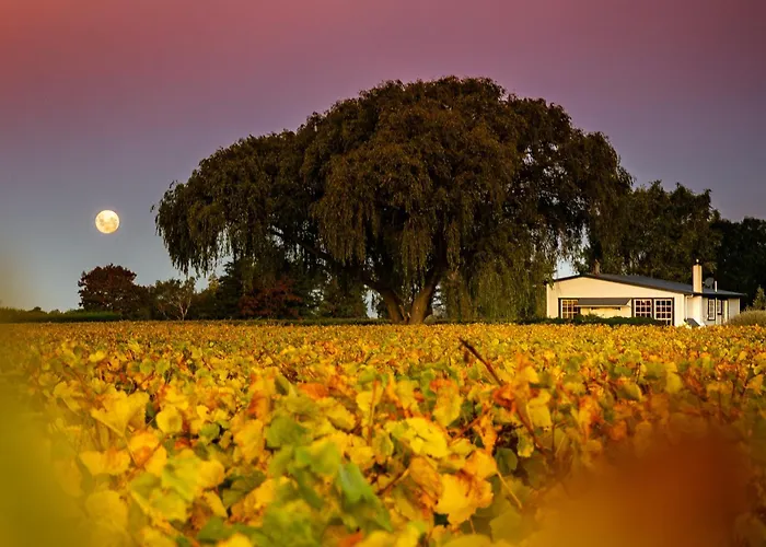 St Leonards Vineyard Cottages