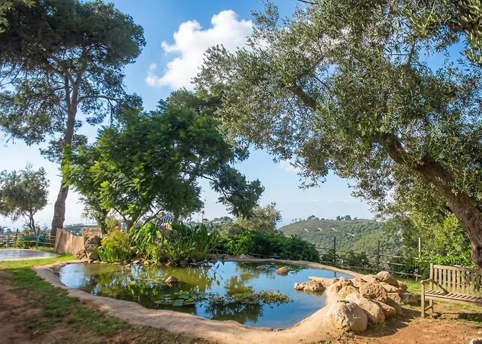 Beit Oren Hotel