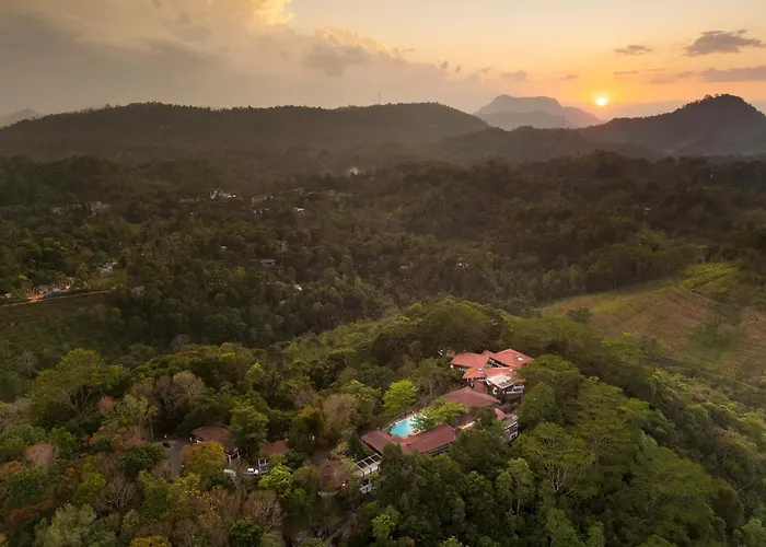 Tree Of Life Nature Resort