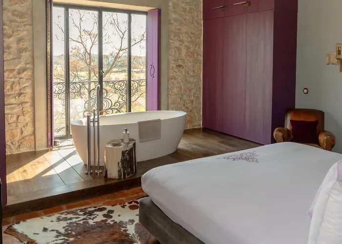 Hôtel de Castigno - Wine Hotel&Resort Assignan