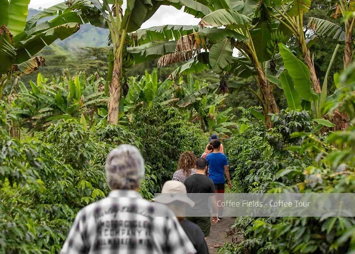 Hacienda Venecia Coffee Farm Hotel San Peregrino