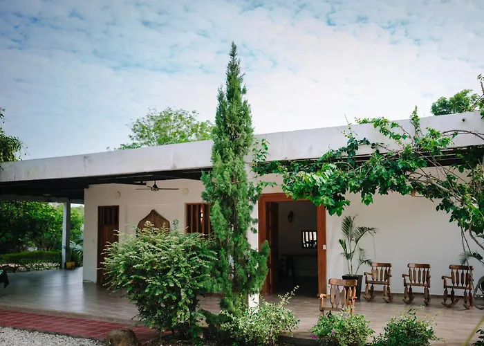 Hotel Palmas del Río
