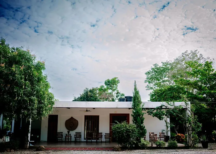 Hotel Palmas del Río