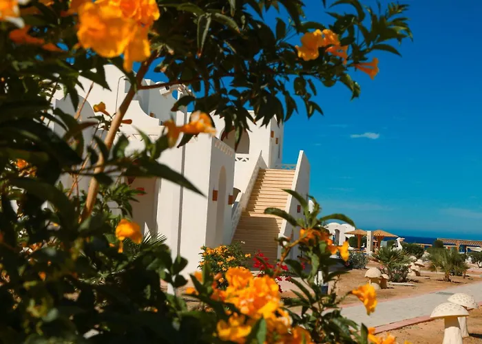 Beach Safari Nubian Resort