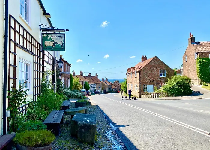 The Durham Ox