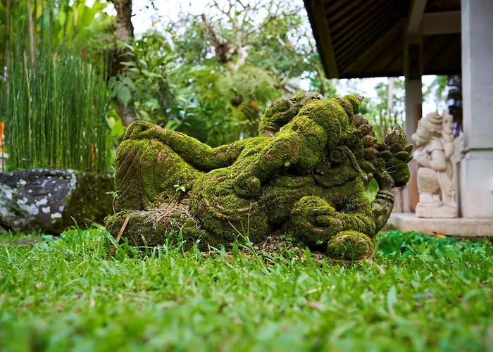 Ayurvedagram Bali - Wellness & Retreat Resort