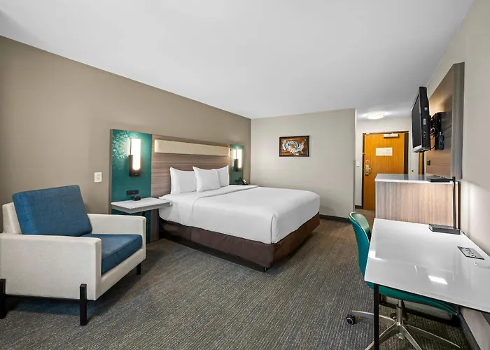 Econo Lodge Inn & Suites South