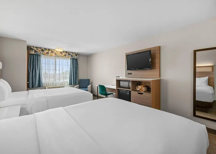 Econo Lodge Inn & Suites South