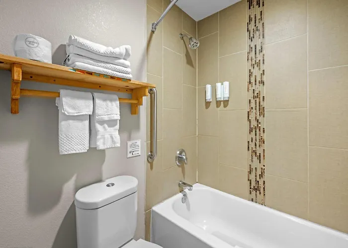Econo Lodge Inn & Suites South