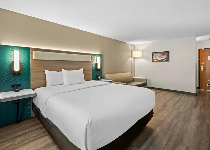 Econo Lodge Inn & Suites South
