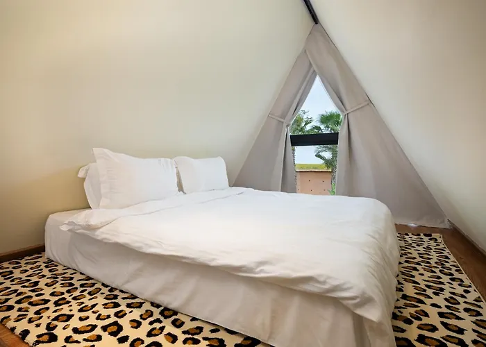 Le Domaine Limoune