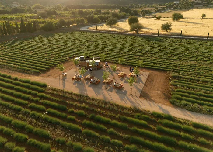 The Lodge Mallorca, Small Luxury Hotels