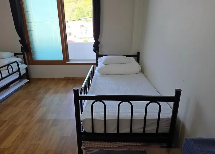 Gangneung Hostel