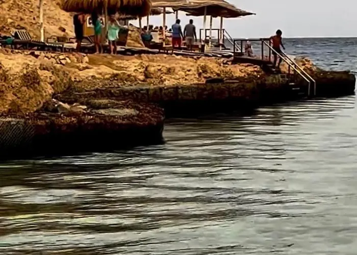 Domina Coral Bay Oasis