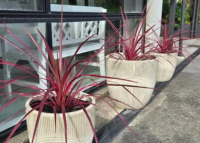 Apollo Bay Waterfront Motor Inn