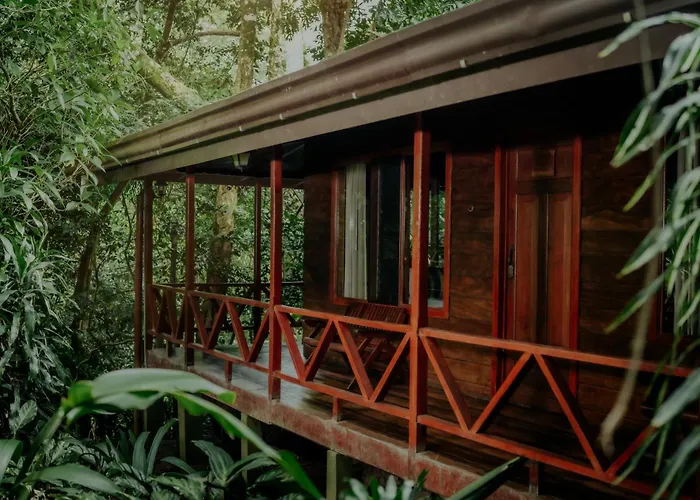 Jaguarundi Jungle Lodge - Monteverde