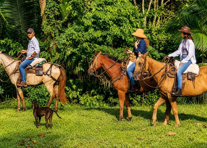 Hotel Boutique Maitta En Doradal Antioquia