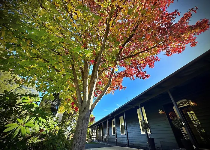 The Dudley Boutique Hotel