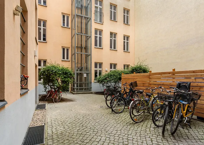 Numa Berlin Kater