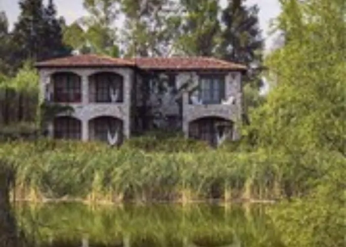 Viñedos San Lucas