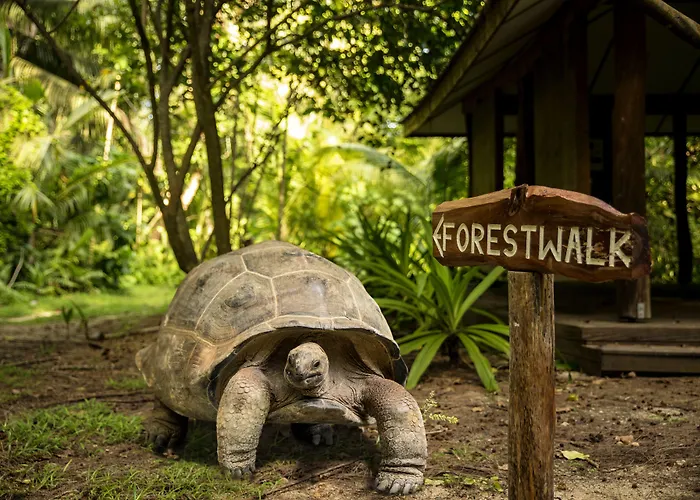 Hotel Denis Private Island Seychelles Denis Island